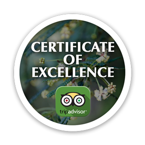 Certificate of excellence button